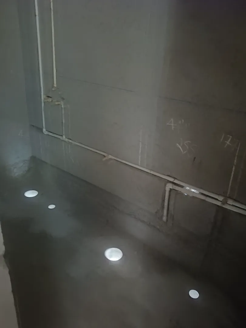 Confident Pinewood Project Schedule on 7th April 2026