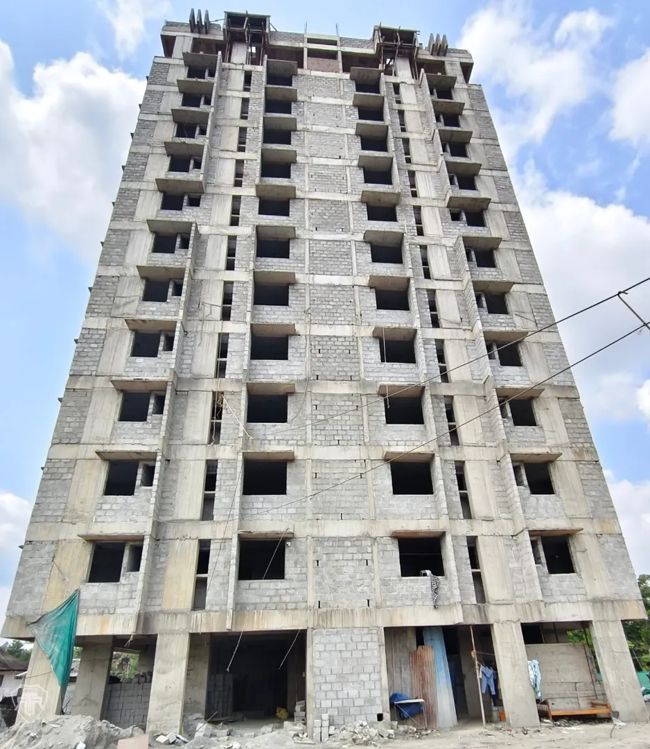 Confident Pinewood Project Schedule on 7th April 2026