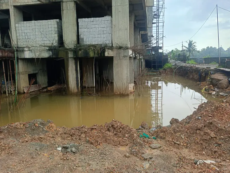 Confident Pinewood Project Schedule on 08th September 2025