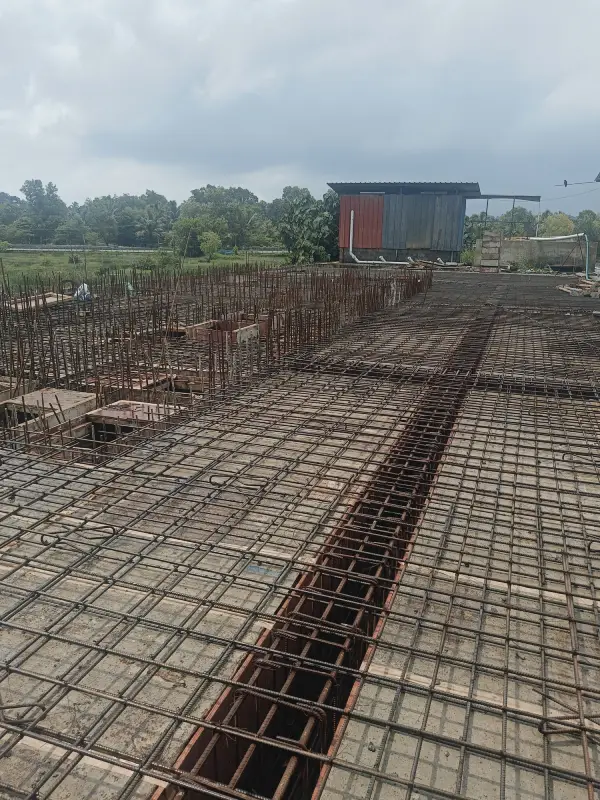 Confident Pinewood Project Schedule on 09th June 2025