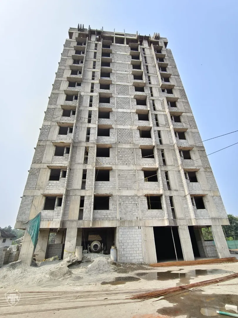 Confident Pinewood Project Schedule on 9th February 2026