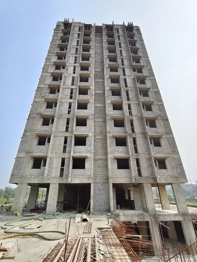 Confident Pinewood Project Schedule on 9th February 2026