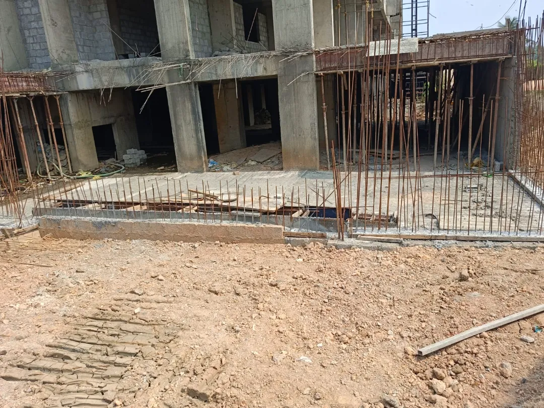 Confident Pinewood Project Schedule on 9th February 2026