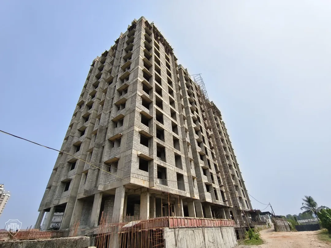 Confident Pinewood Project Schedule on 9th February 2026