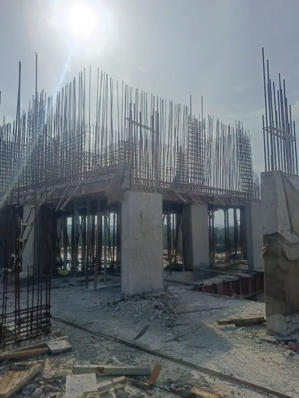 Confident Pinewood Project Schedule on 11th August 2025