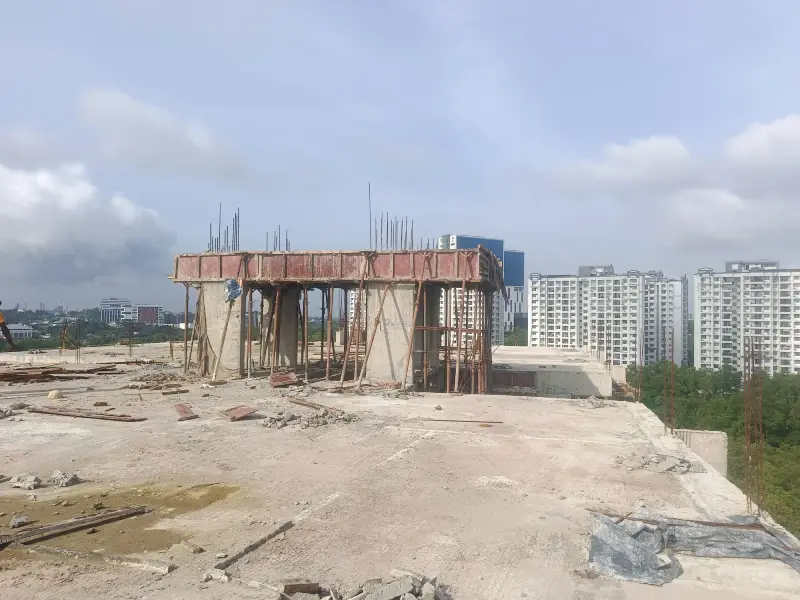 Confident Pinewood Project Schedule on 11th August 2025