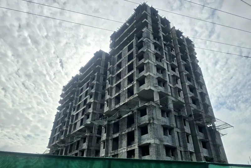 Confident Pinewood Project Schedule on 11th August 2025