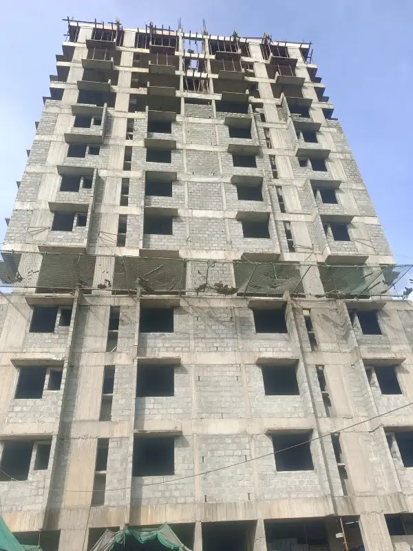Confident Pinewood Project Schedule on 11th August 2025