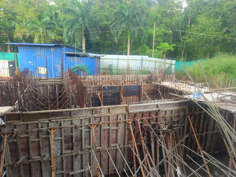 Confident Pinewood Project Schedule on 11th August 2025