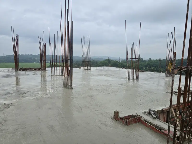 Confident Pinewood Project Schedule on 15th July 2025