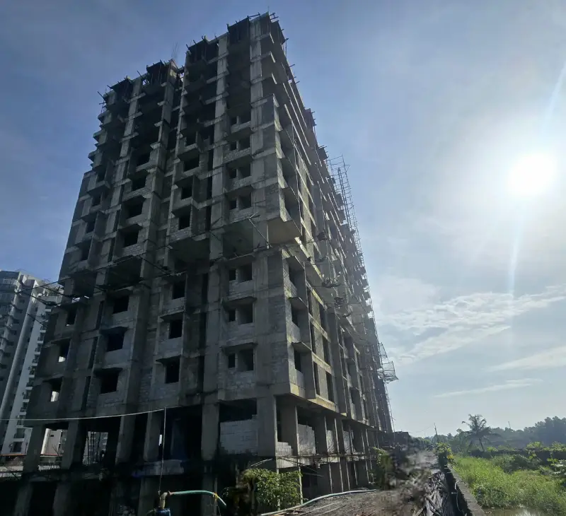Confident Pinewood Project Schedule on 15th July 2025