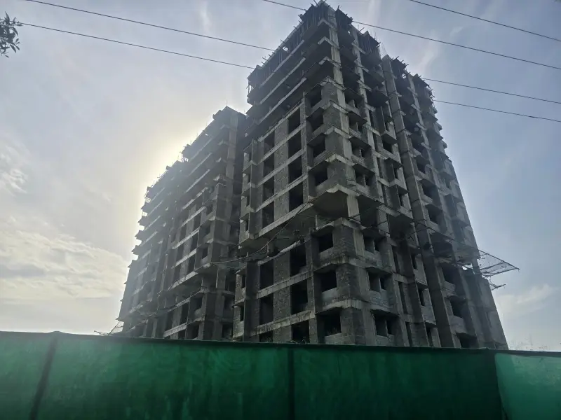 Confident Pinewood Project Schedule on 15th July 2025