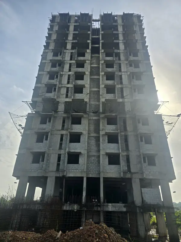 Confident Pinewood Project Schedule on 15th July 2025