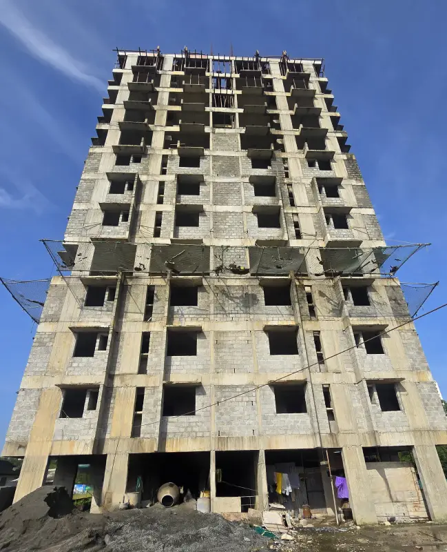 Confident Pinewood Project Schedule on 15th July 2025