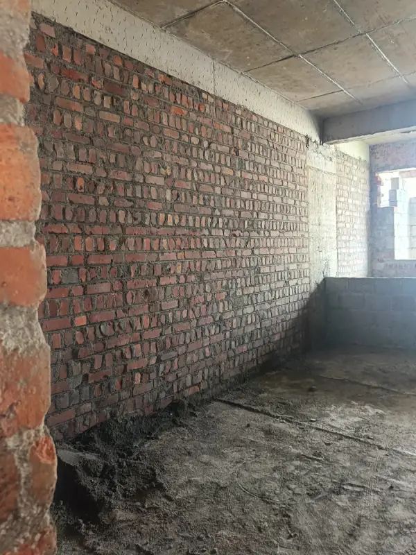 Confident Pinewood Project Schedule on 18th December 2025