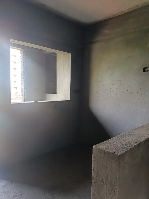 Confident Pinewood Project Schedule on 18th December 2025