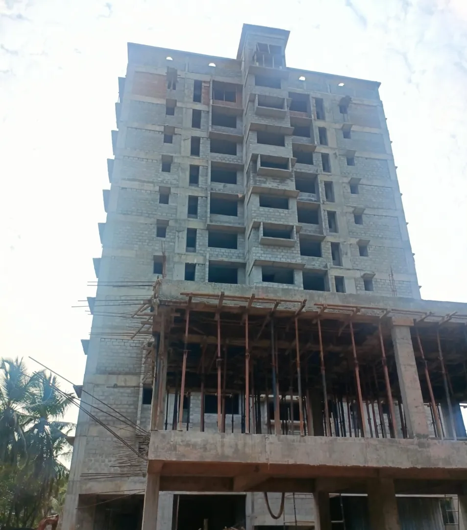 Confident Oasis Project Schedule on 5th February 2026