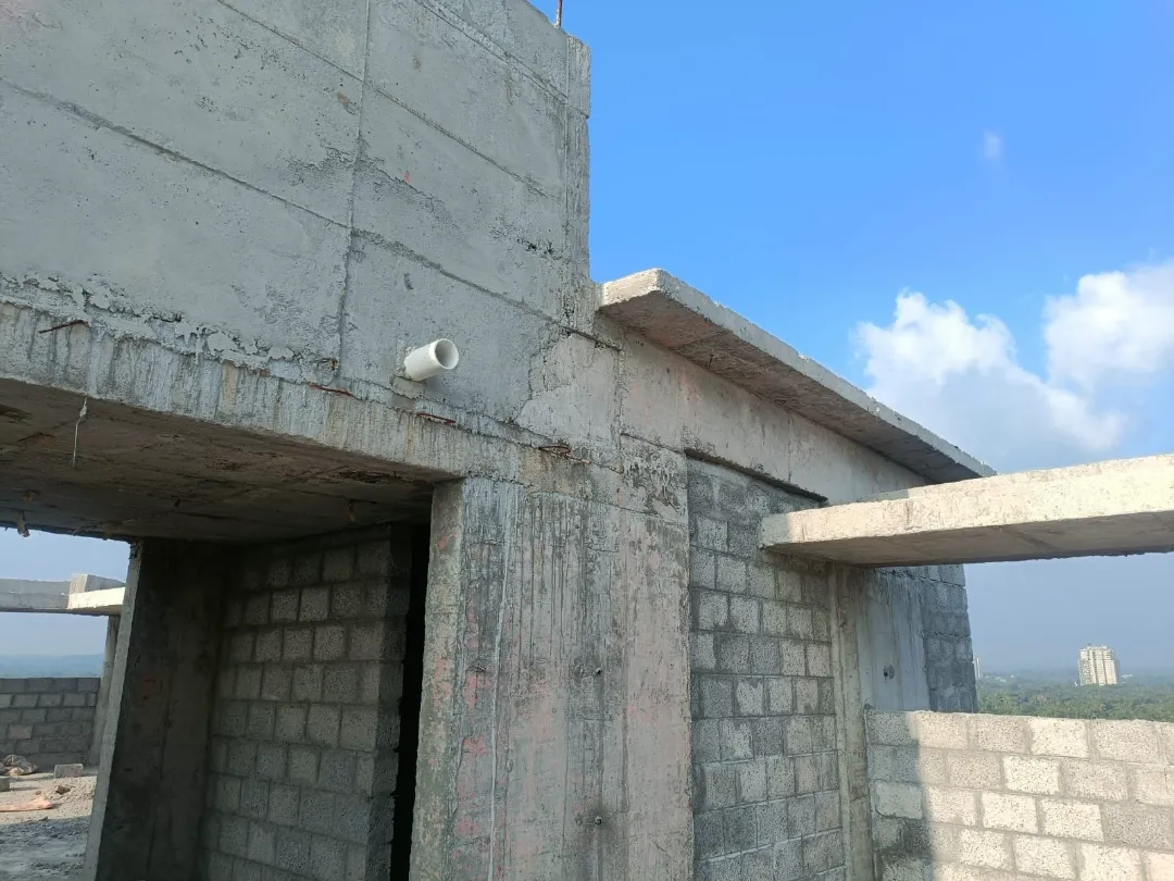 Confident Oasis Project Schedule on 5th February 2026