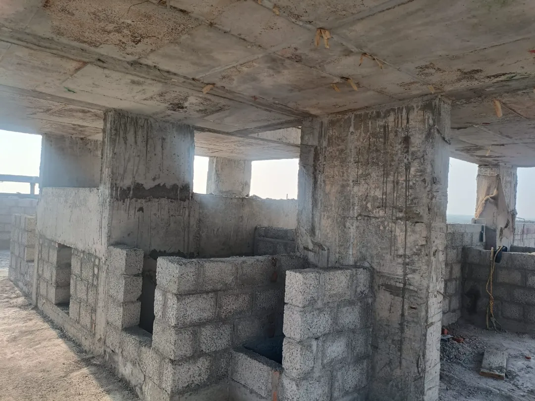 Confident Oasis Project Schedule on 5th February 2026