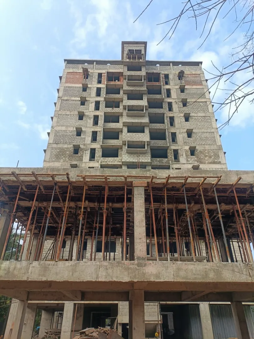 Confident Oasis Project Schedule on 5th January 2026