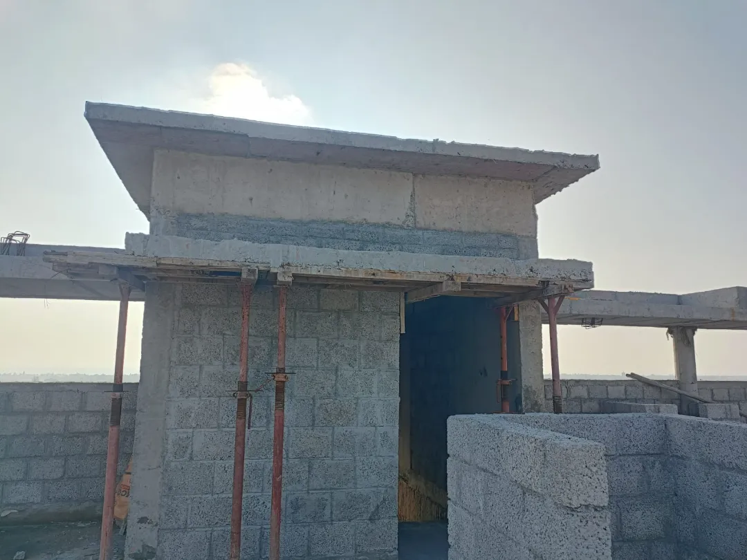 Confident Oasis Project Schedule on 5th January 2026