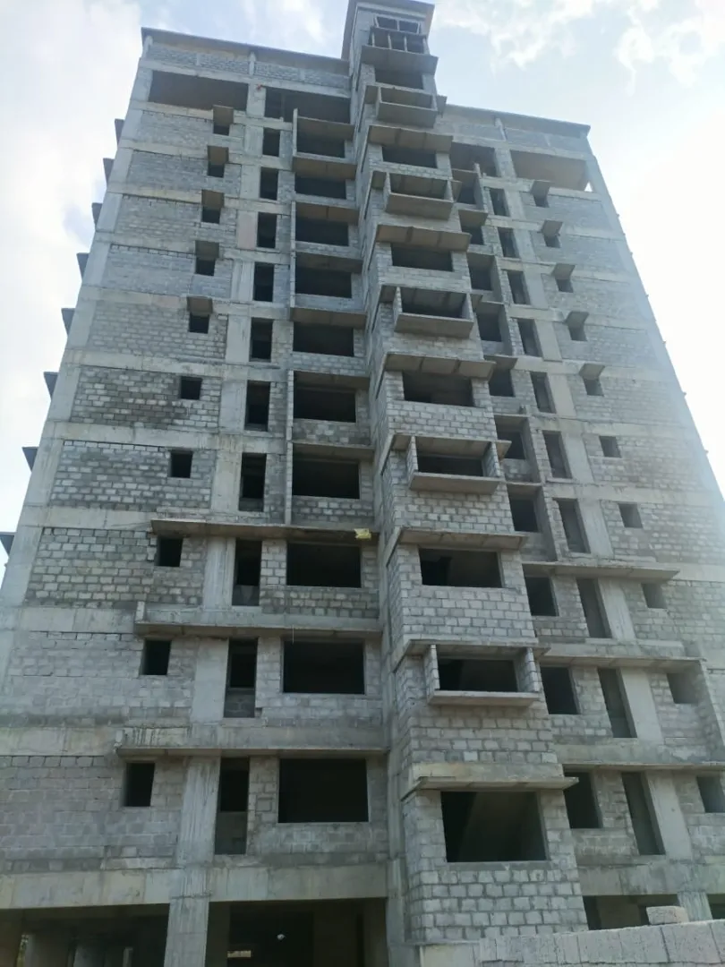 Confident Oasis Project Schedule on 5th January 2026