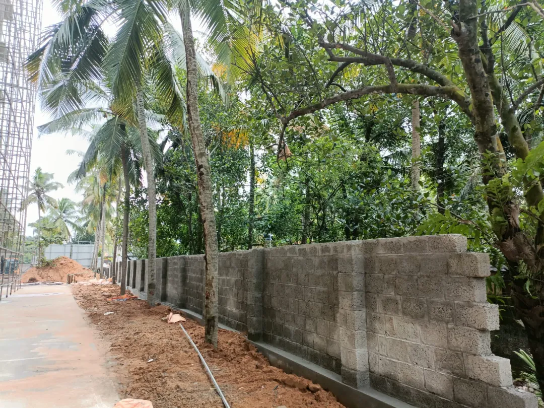 Confident Oasis Project Schedule on 4th August 2026