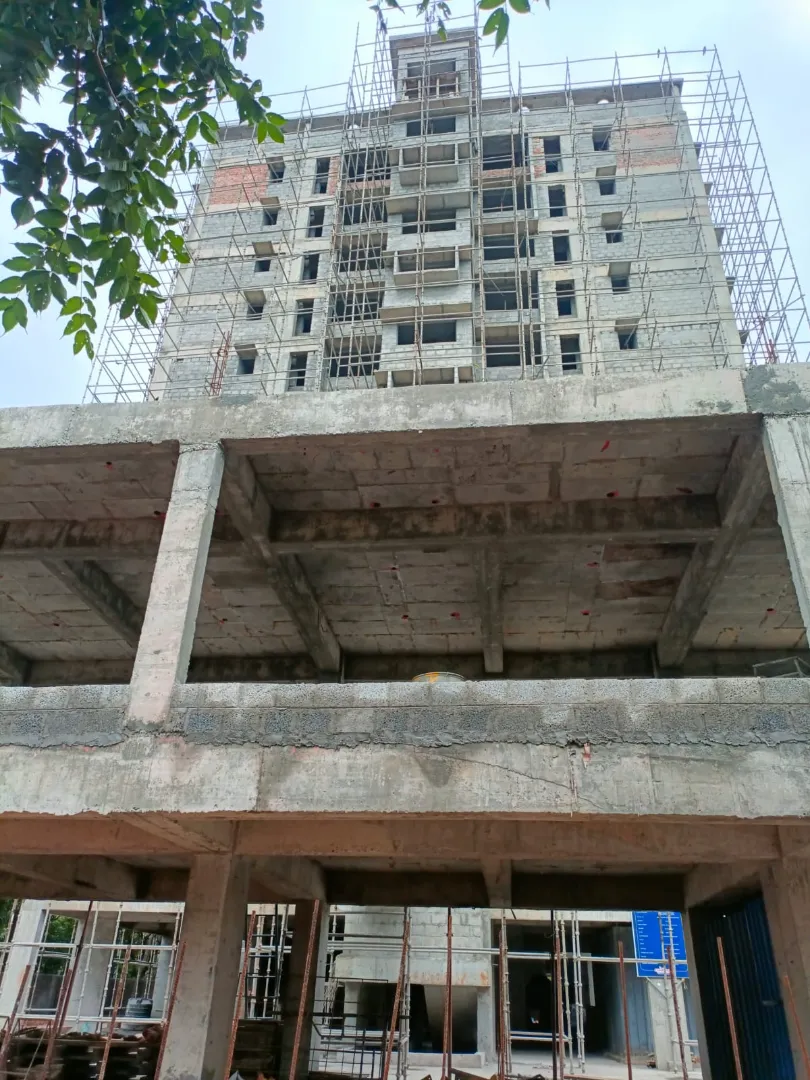 Confident Oasis Project Schedule on 4th August 2026