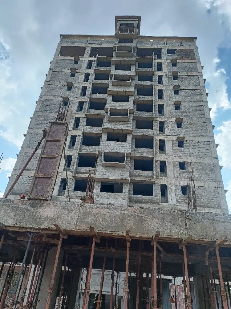 Confident Oasis Project Schedule on 11th December 2025