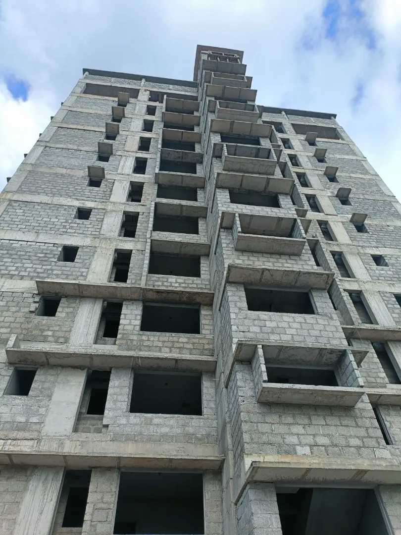 Confident Oasis Project Schedule on 11th December 2025