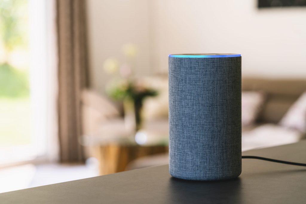 Echo Smart Speaker