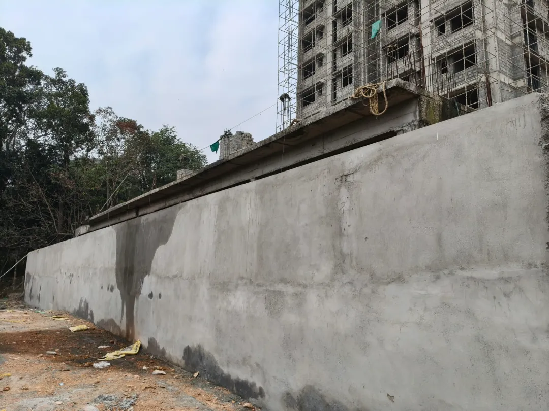 Confident Bougainville Project Schedule on 8th January 2026