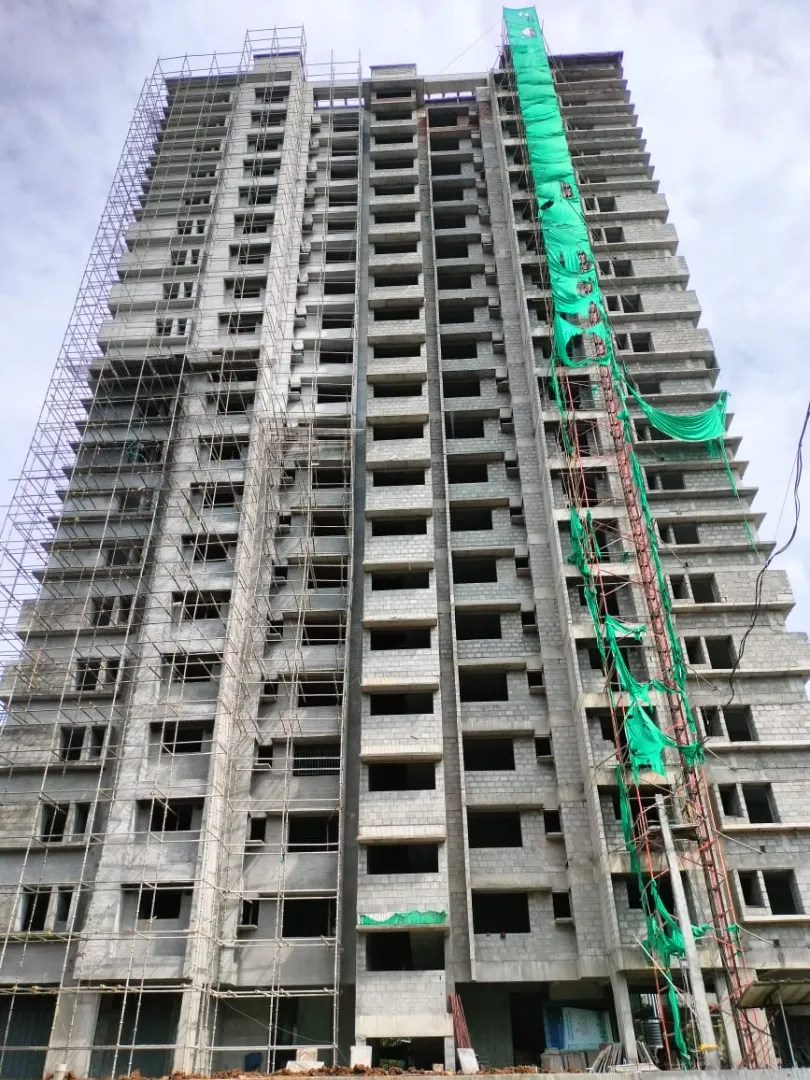 Confident Ebony Project Schedule on 1st June 2026