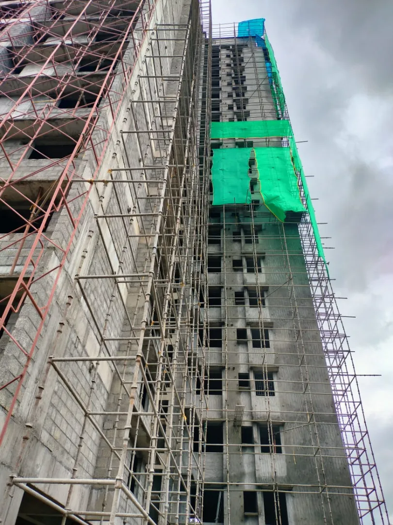 Confident Ebony Project Schedule on 1st July 2026
