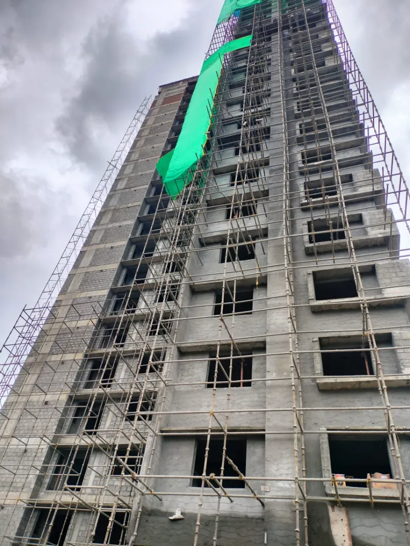 Confident Ebony Project Schedule on 1st July 2026