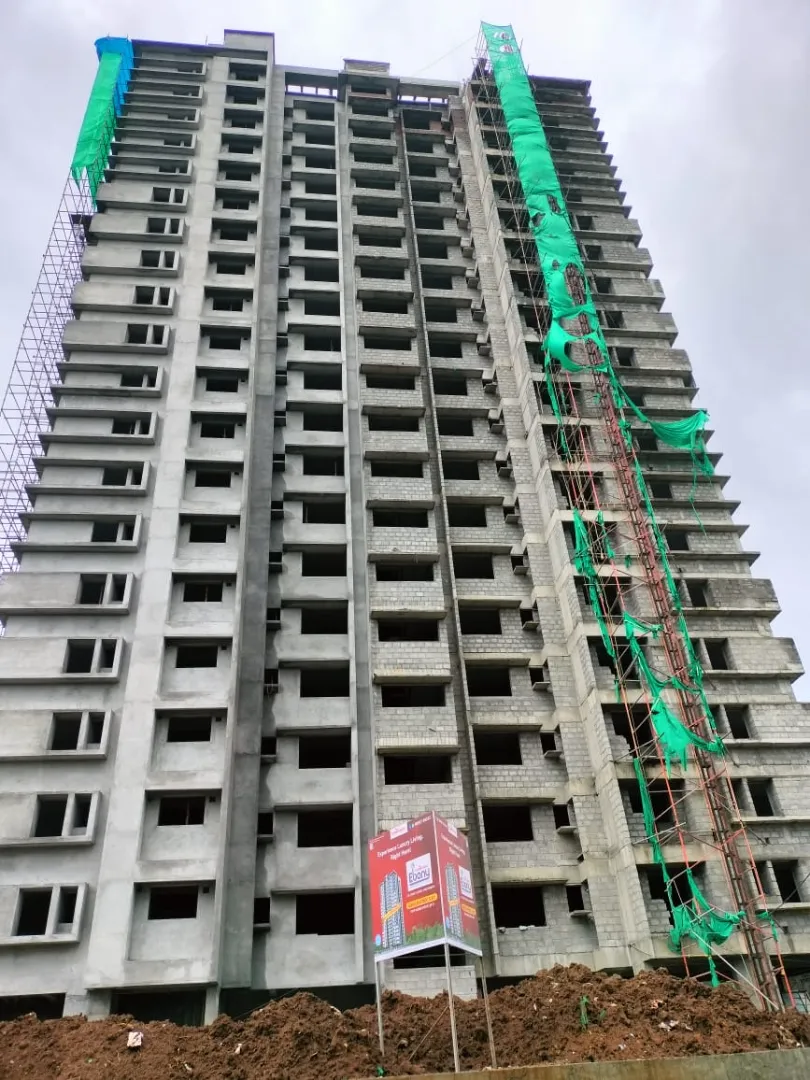 Confident Ebony Project Schedule on 1st July 2026