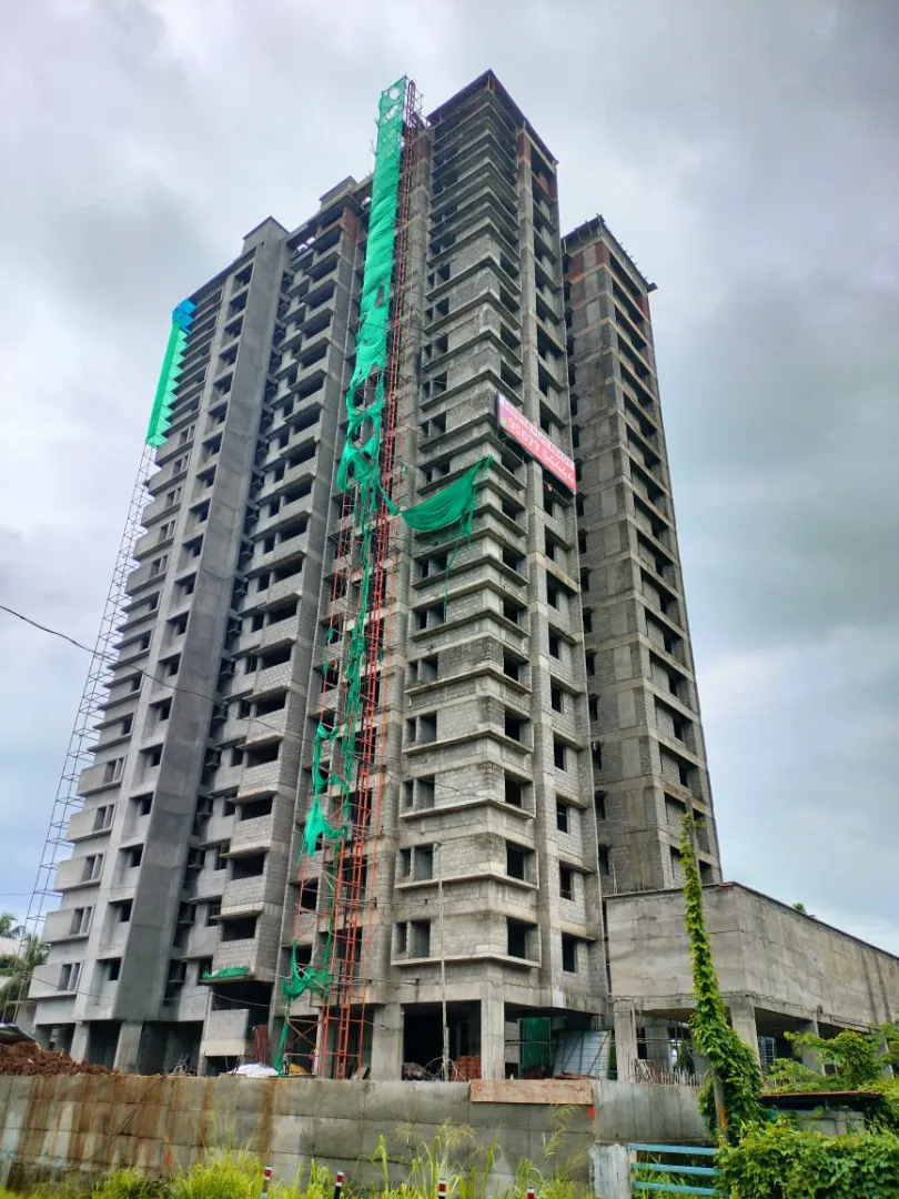 Confident Ebony Project Schedule on 1st July 2026