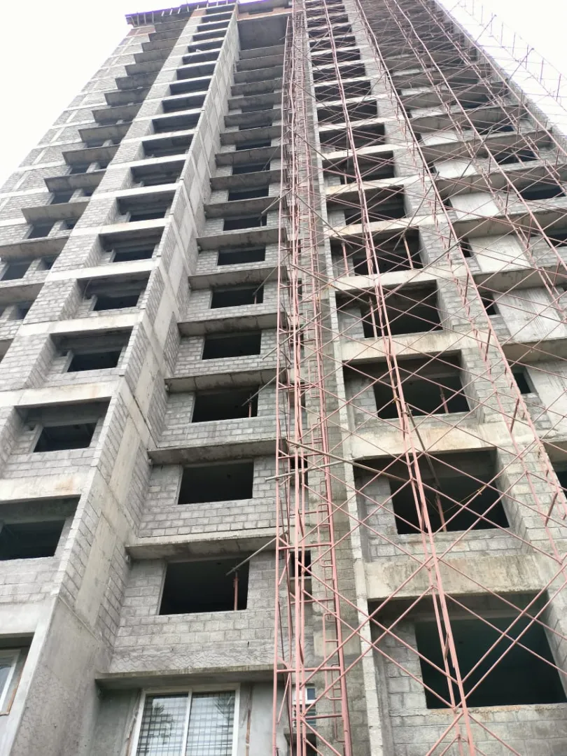 Confident Ebony Project Schedule on 1st July 2026
