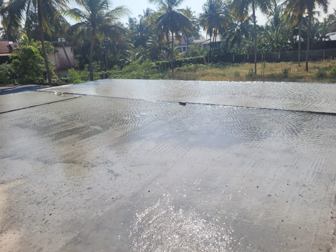 Confident Ebony Project Schedule on 05th March 2026