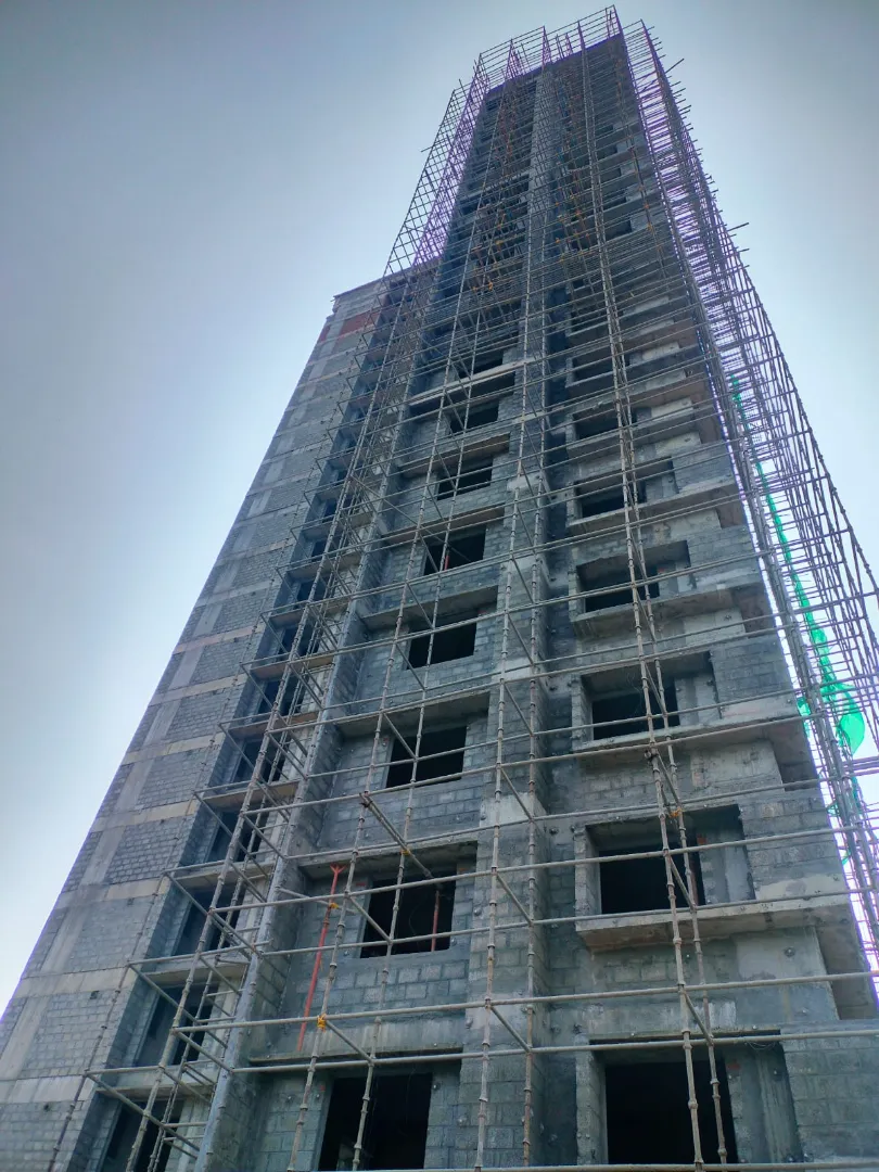 Confident Ebony Project Schedule on 05th March 2026