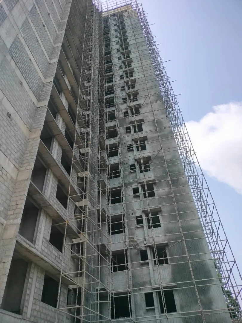 Confident Ebony Project Schedule on 05th March 2026