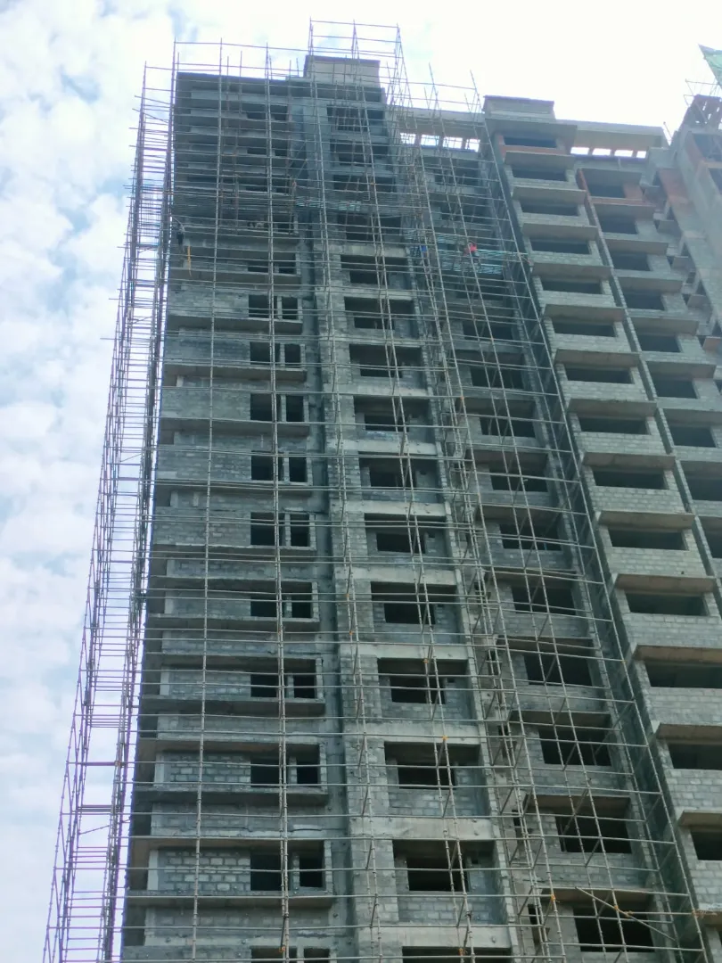 Confident Ebony Project Schedule on 05th March 2026