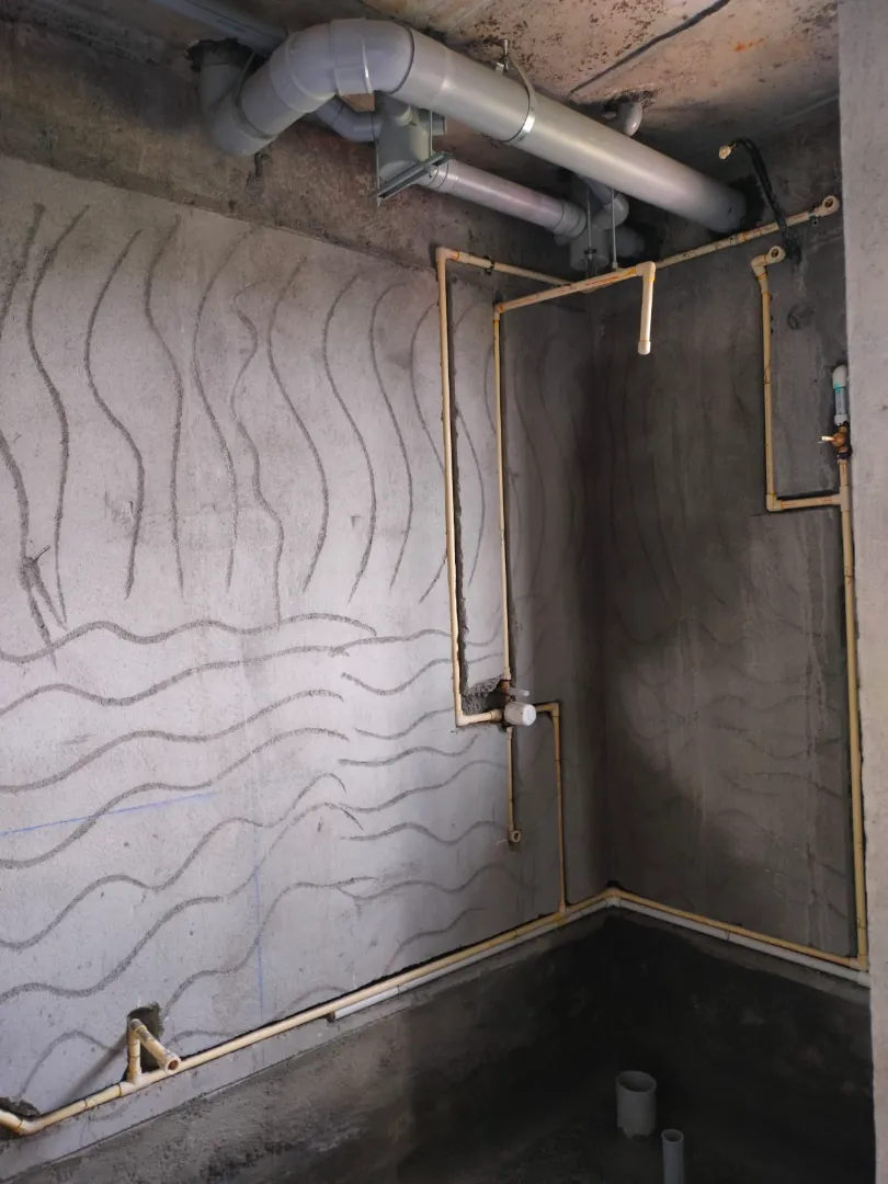 Confident Ebony Project Schedule on 05th March 2026