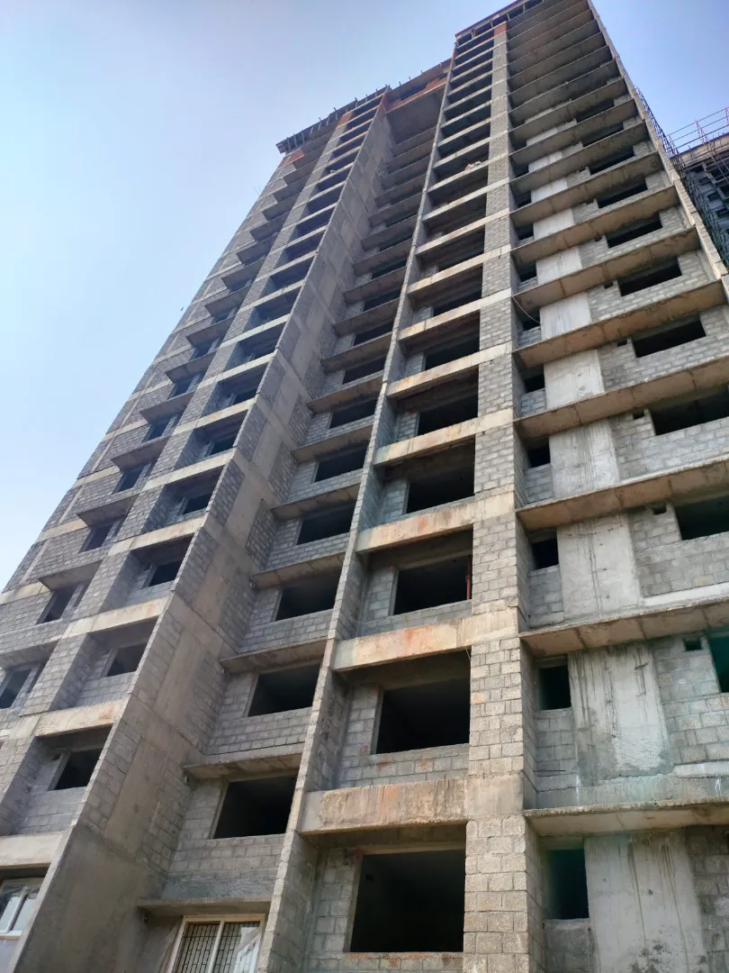 Confident Ebony Project Schedule on 05th March 2026