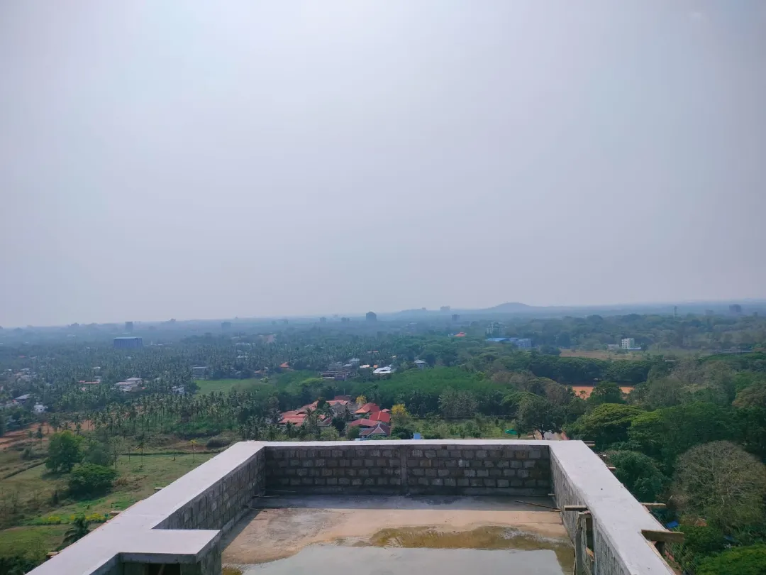 Confident Ebony Project Schedule on 05th March 2026