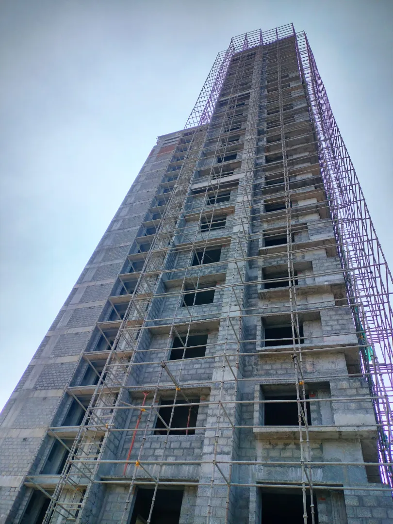 Confident Ebony Project Schedule on 05th February 2026