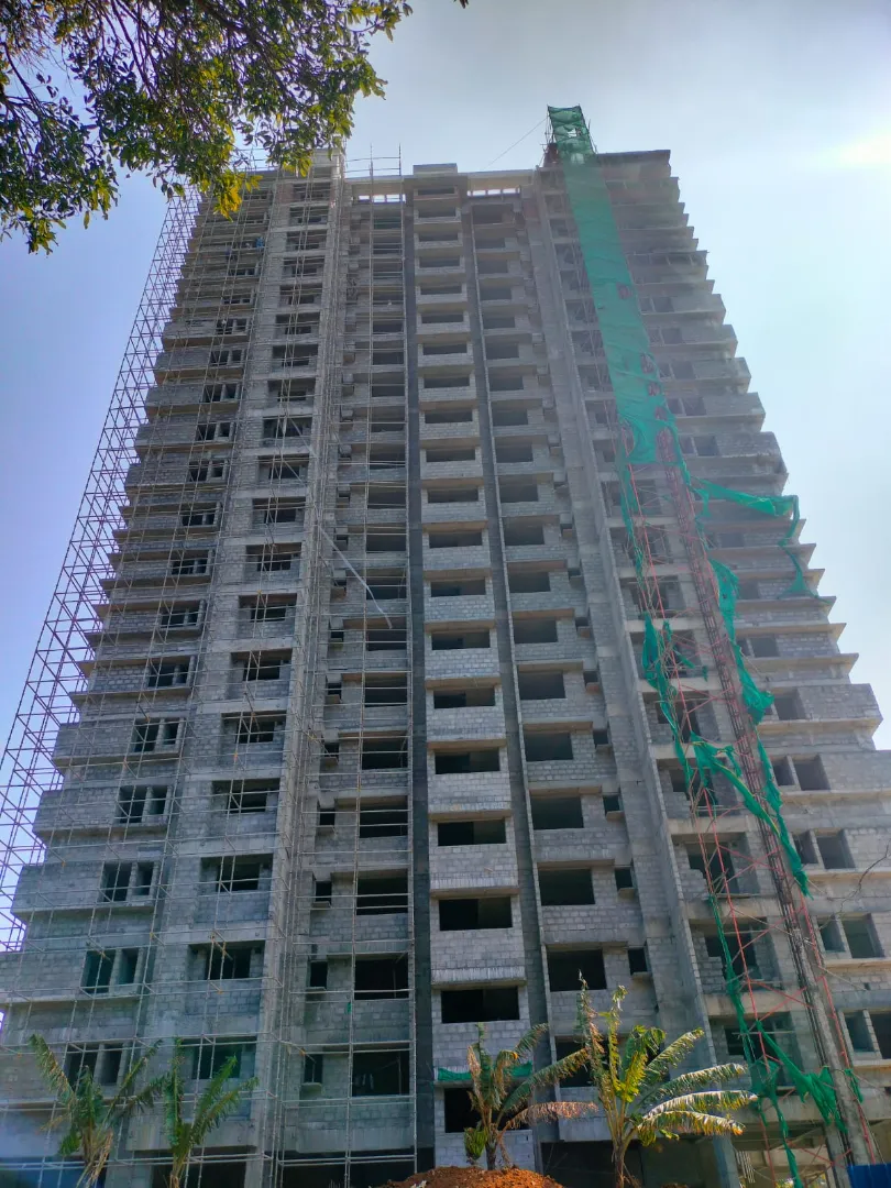 Confident Ebony Project Schedule on 05th February 2026