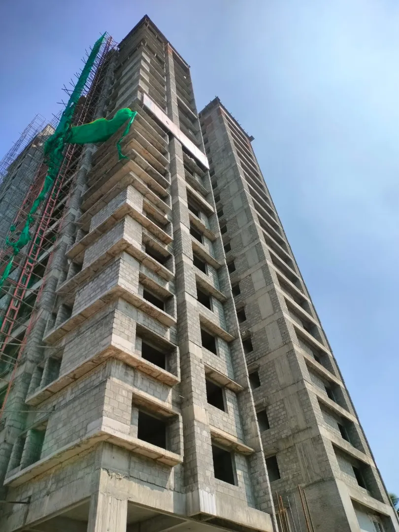 Confident Ebony Project Schedule on 05th February 2026