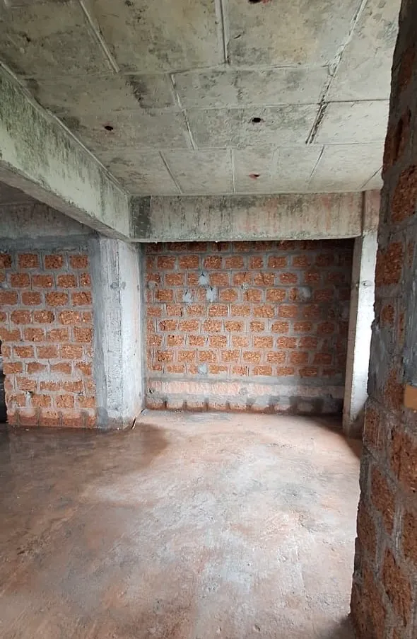 Confident Ebony Project Schedule on 05th January 2026