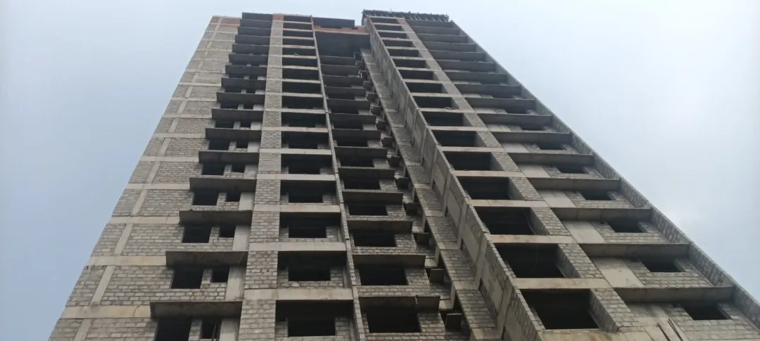 Confident Ebony Project Schedule on 05th January 2026